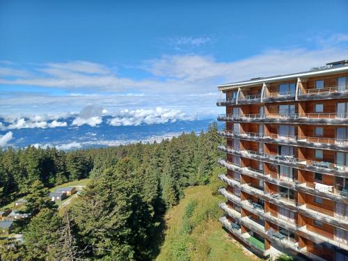 Accommodation in Chamrousse