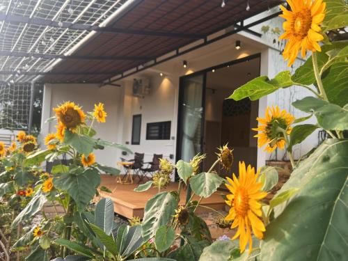Casa Rosa Homestay