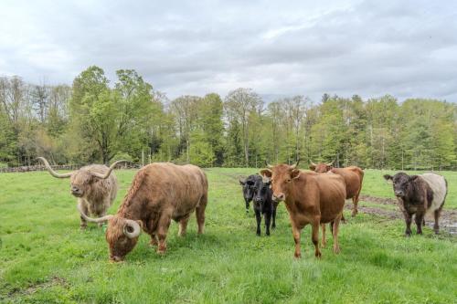 Wake Up to Highland "Coos" - Cozy Farm Suite with Panoramic Views in ลาวดอน (นิวแฮมป์เชียร์)