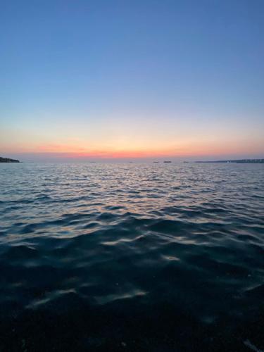 NERi, Koper (photo 10)