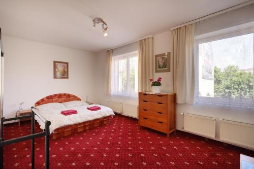 Ehila, Karlovy Vary (fotografie 7)