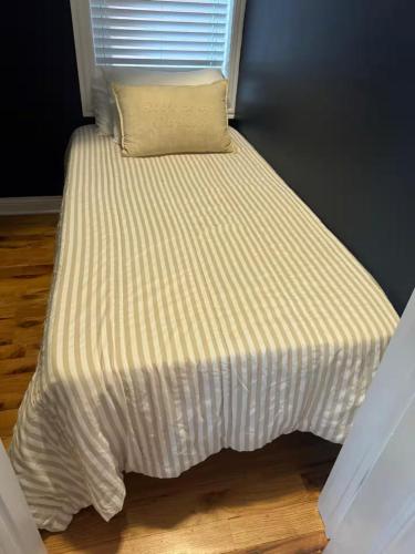 Cozy 2 BR 1 BA Flat Just 10 Mins from Downtown in Chicago, USA
