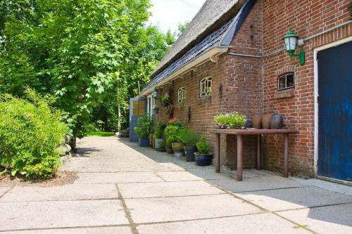 Kampeerhuisje met hottub in Burdaard