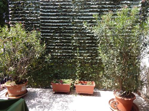 Forte House - image 3