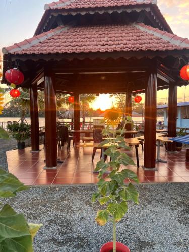 Điểm Hẹn restaurant, cắm trai, sở thú mini farm, câu cá giải trí (Điem Hen restaurant, cam trai, so thu mini farm, cau ca giai tri) in Trung Dung