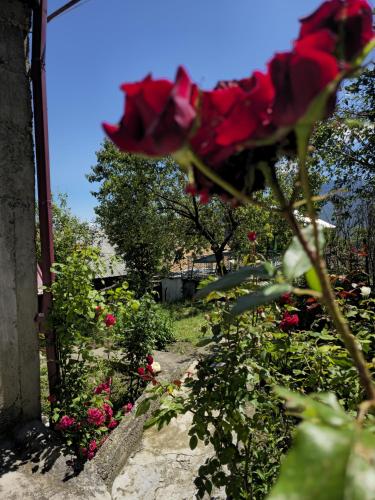 Sanahin Heritage in Alaverdi