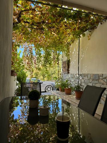 Stou Stefani in 阿格羅斯