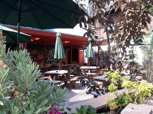 The Black Swan – York