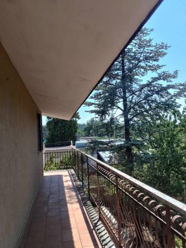 Villa Angela - Palombaio