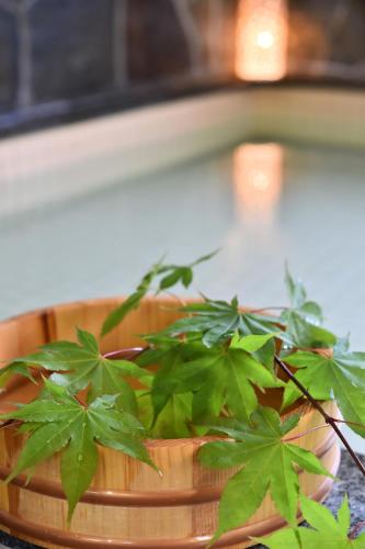 Ｇｕｅｓｔ Ｈｏｕｓｅ Ｔａｋｅｎｏｙａ - Vacation STAY 28022v