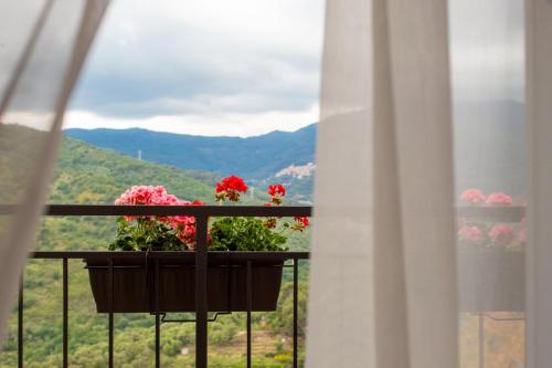 Locanda del Gufo Civezza in Civezza