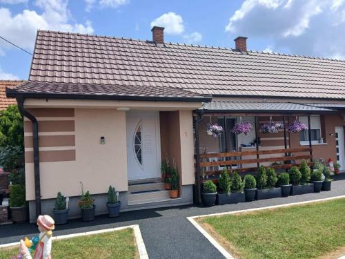 Viesnīcas āriene, Domaćinstvo Pocikini Zasavica (Domacinstvo Pocikini Zasavica) in Zasavica
