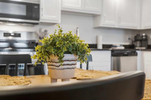 Poolside Near the Landing For 2 in Branson City Center