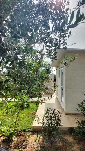 Oleum, Mesagne (photo 5)
