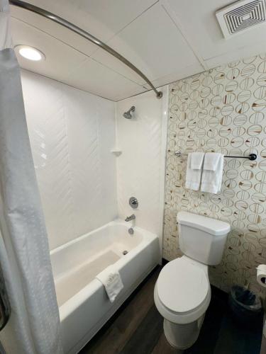 Wyndham Houston Hobby Airport - 화장실