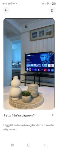 Little white on the west coast in Stromstad