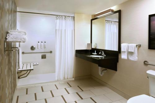 King Studio Suite - Disability Access image 4