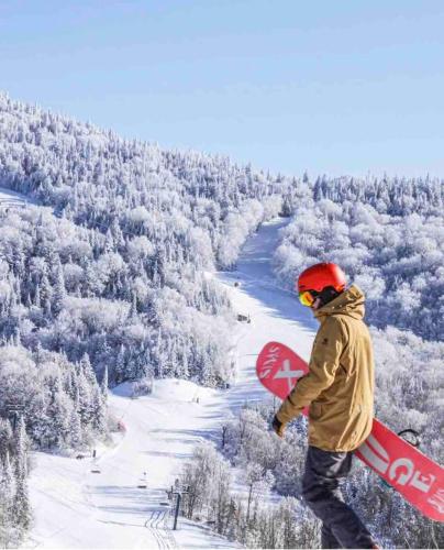 Le Tiny loft ski in ski out, Mont-Tremblant (zdjęcie 8)