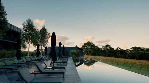 Swimming pool, Jackalope Hotel in Mornington Peninsula
