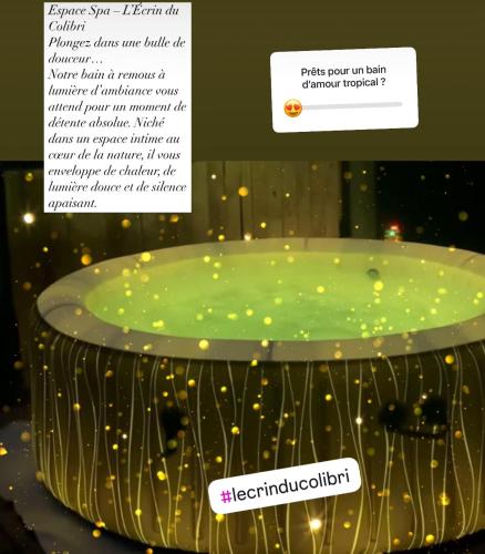 L'Écrin du colibri, a haven of peace in Martinique (L'Ecrin du colibri, a haven of peace in Martinique) in Le Robert