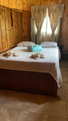 Double Room with Garden View image 9
