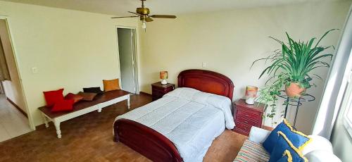 Habitación Privada en Apartamento, Conquistadores, Medellín (photo 6)