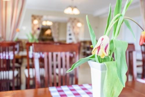 Pensiunea Terra Pensiunea Terra