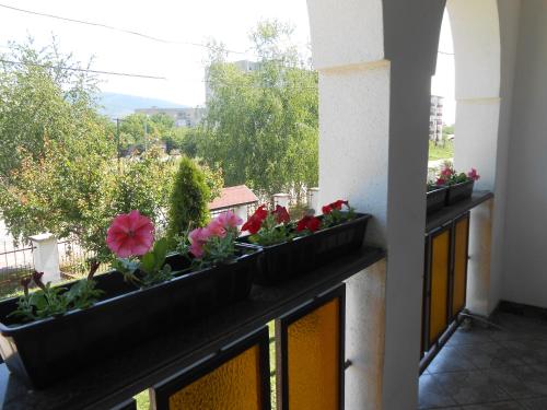 Balkon/terasa, Guest House Marketti in Vynohradiv