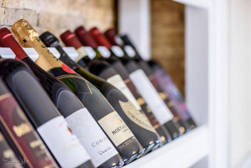 Pensiunea Terra Pensiunea Terra