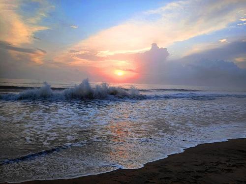 Praia, Marari Coco Villa in Alleppey