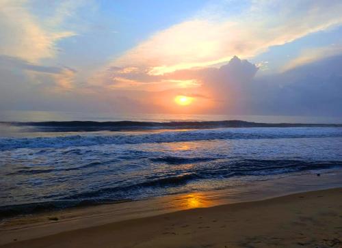 Praia, Marari Coco Villa in Alleppey