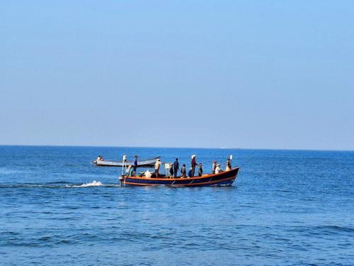 Vista, Marari Coco Villa in Alleppey