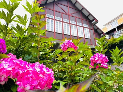 Starry Stay Villa NISHIATAMI