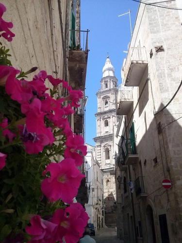 B&B Don Gino – Monopoli, LA