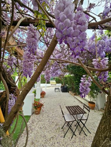 Chez Louis – Les Issambres, ID