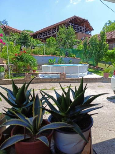 Svømmebasseng, House Seoska OAZA in Pirot