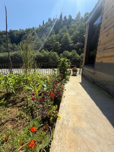 Elfida Tinyhouse, Çamlıhemşin (photo 5)