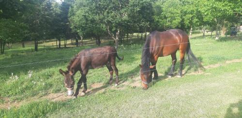 Caravane 70's in 聖拉里布讓