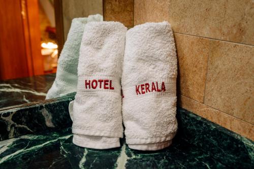 Hotel Kerala - main image