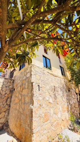 عجلون - ajloun اشتفينا -9 in อัญลูน