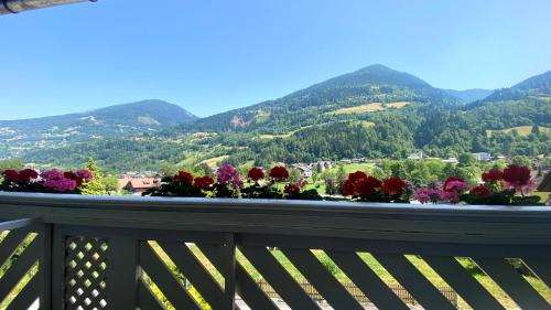 Pension Julia in Feld am See, Österreich