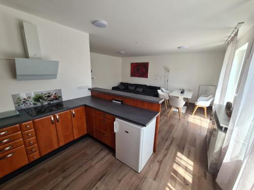 Exclusive APARTMENT Lipno Wellness & SPA in Frymburk City Center