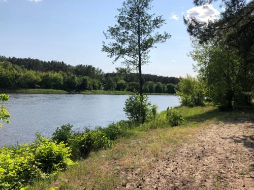 Chata w Mchu i Paprociach in Szelkow