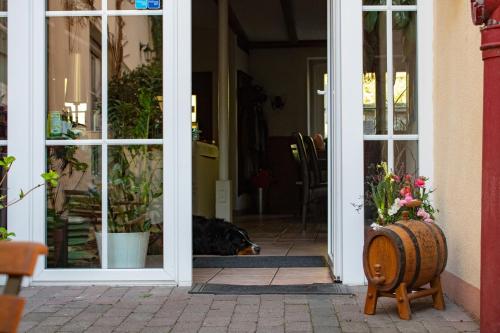 入口, Hotel Herberge zur Traube in 巴特溫普芬