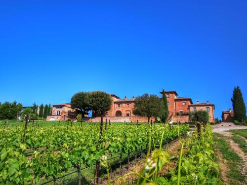 Cozy Farmhouse in Montepulciano with Pool gîte à louer Valiano