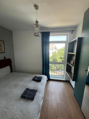 Cozy apartment, by Paradise Mall, София (фото 9)