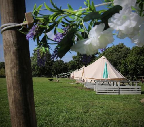 Hopgarden Glamping and camping - Luxury furnished Bell tents & Shepherd huts plus camp field to pitc