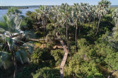 Stilted Suite - Island Treehouse Suites room in Victoria Falls River Lodge