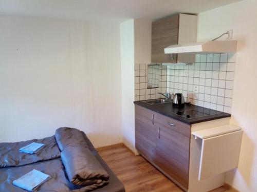 Apartmany pod Lipami - Harrachov in Harrachov