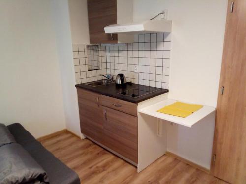Apartmany pod Lipami - Harrachov in Harrachov
